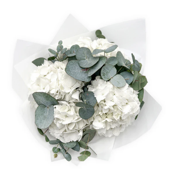 Bouquet Hortensias Blanc