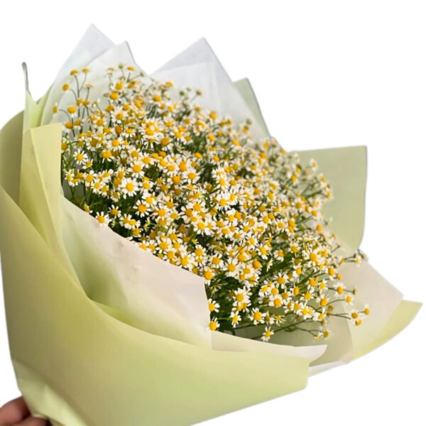 Bouquet Camomille