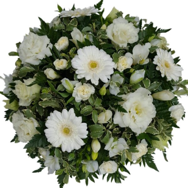 Coussin Blanc